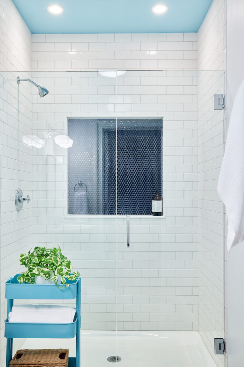 bathroom-interior-design-white-subway-tile-shower